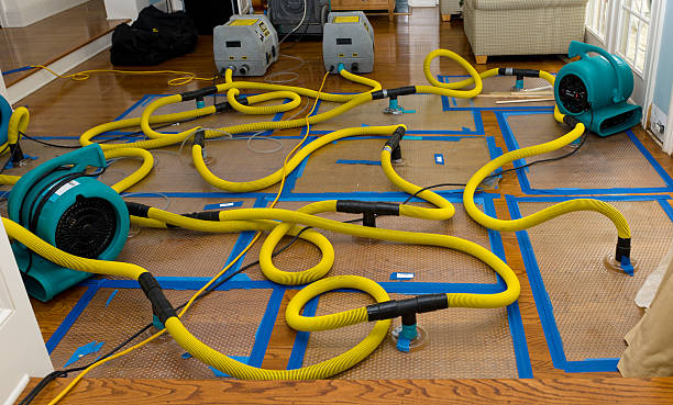 Professional Structural Drying And Dehumidification technician working in Powell, WY